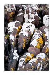 The Beach at Achnahaird Bay