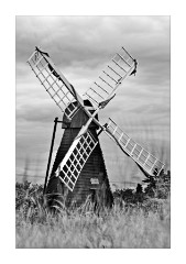 Windmill Wicken Fen 2