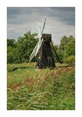 Windmill Wicken Fen