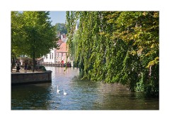 Local Market by the Canal