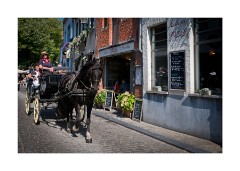 Taking a Trip Around Bruges