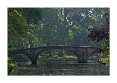 Pretty Bruges with Townl Swans