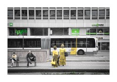 Colourful Ladies Antwerp