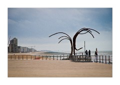Cool Day the Promenade - Oostende