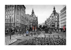 In the City Tour Bus Antwerp