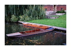 Peaceful Punts