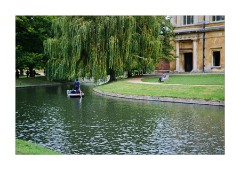 The University Library