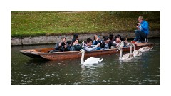 Tourists along The Backs