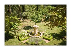 A Beautiful Peaceful Garden in Goult