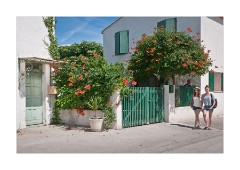 Local Street with Flowers