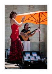 One of the Festival Guitar Players