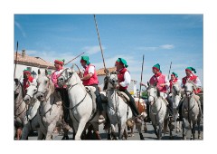 Race through town with the Horses and Bulls