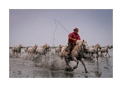 A Race with the Leader