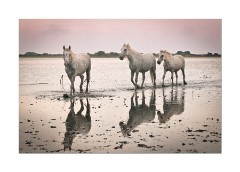 Back to the Beginning Again