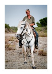 Lovely Horse from the Camargue Region