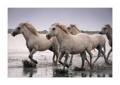 Returning to the Start