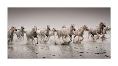 This is Good Exercise