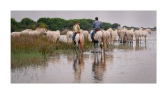 Waiting for more Riders