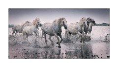 We are Getting Dirty