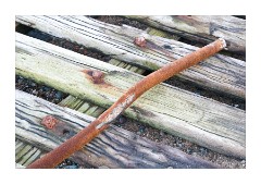 Old wood fallen from cliff top