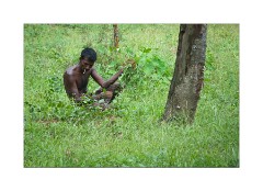 Working in the Field