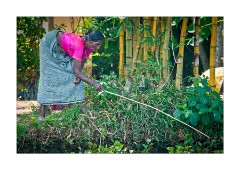 Fishing in the River