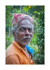 Chief at the Tribal Village