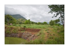 On Route to Theni Village