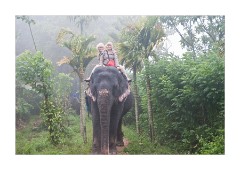 Riding an Elephant
