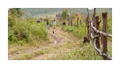 Local Picture of Life in the Countryside