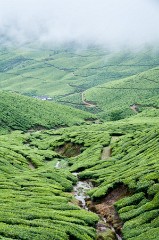 View Down the Vallley
