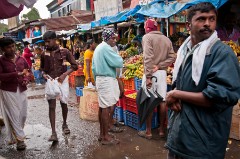 Shopping at the Evening Market
