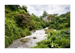 The River surrounding Munnar