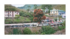 Walking along the Munnar River to Lunch