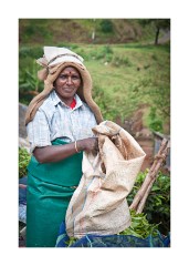 Alomost Time to Finish Work