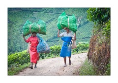 More Workers Finishing for the Day