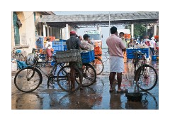 Early Morning Fishing Market