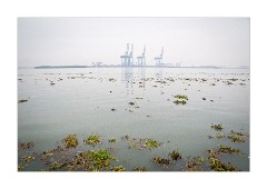 View at Breakfast Time