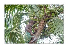 Theatre, Laundry and Main Cochin