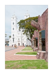 Very Decorative Grounds of the Church
