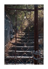 Cobwebs and Steps Fira
