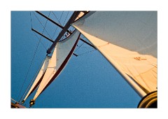 Sails on the Tall Ship