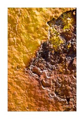 Vlichada Port Golden Rust