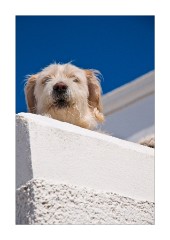 Can't Quite See You Megalochori Village