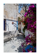 Emporio Village Colourful Flowers