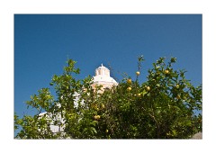 Hotel Anatoli Lemon Trees