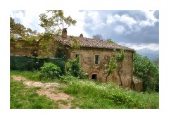 Old Farmhouse next to the Pieve di Corsignano Church