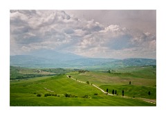 Tuscan View