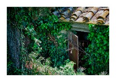 Azienda Faunistico Venatoria Deserted Building