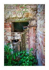 Azienda Faunistico Venatoria Old Barn Door